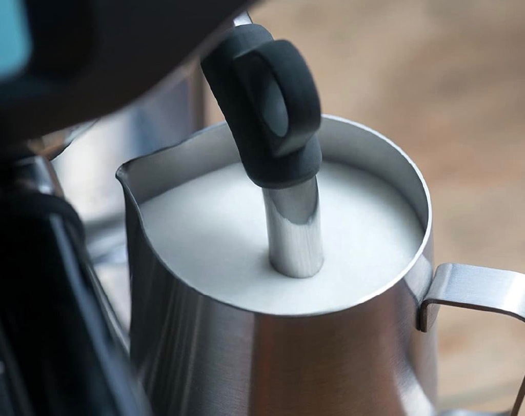 milk froth system